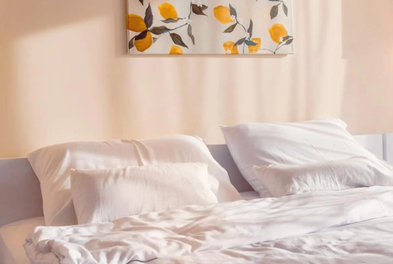 Guesthouses In Batumi Georgia