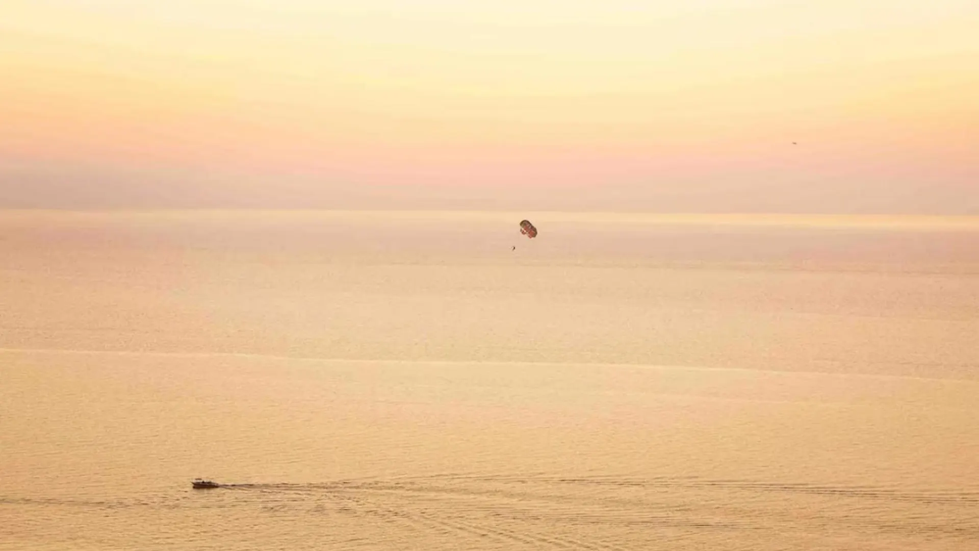 Guest house Guesthouses In Batumi